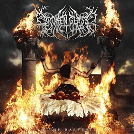 Broken Glass Sanctuary : Flesh Harvest